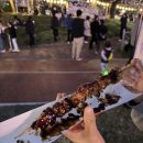 갑천 | 대전 전민동 갑천 벚꽃 축제 후기, 4월 2,3,4일 문지동 밤벚꽃 만개 실시간