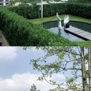 유동상회 이미지