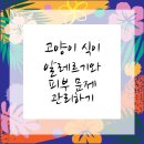 큰사랑동물병원 이미지