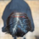 헤어마법사 이미지