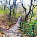 불암버스정류장 이미지