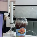 이*일1 | 미래내일일경험 1~4주차 후기