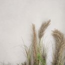 바라던피부과의원 이미지