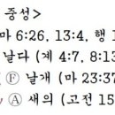 G4071 네이버블로그