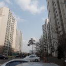 숲속마을1로 이미지