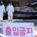 화성양돈 이미지