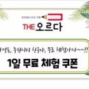 더오르다스터디 이미지