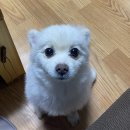 보라시민약국 이미지