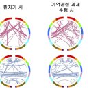 D00995 노벨사이언스