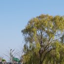 해남공원 이미지