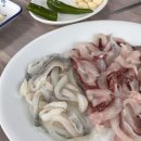 동백포장타운
