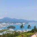 완도 고금도 지석묘군 이미지