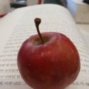 고전읽기 독서회 이미지
