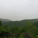 영골숲 Daum카페
