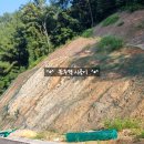 신설도로 | 🍀포천 신설도로 법면보호공🍀 녹생토 건식 공법 시공 후기 사례☑️