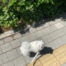 개린이 유치원 이미지