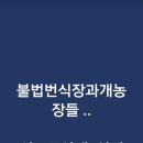 장신농장 이미지