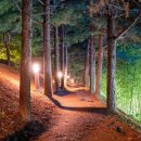 둔산 선사유적지 이미지