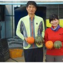 선미농장 이미지