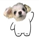 보령주교관창한우타운