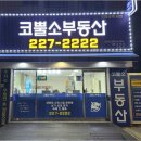 호매실스타힐스최고공인중개사사무소 | 수원 권선구에서 원투룸 찾기: 서희코뿔소 공인중개사와 함께 쉽고 안전하게