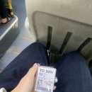 개그스토리마트메트로점 | [10월 일상] 공쥬들아 스몰톸 드루와~