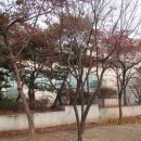 치악예술관 이미지