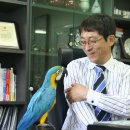 (주)오토일렉스 이미지