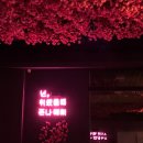 홍해정육점 이미지