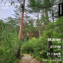 대광천(1) | [울진군 금강송면] 진조산, 백병산 임도 라이딩 후기