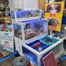 소희수산 이미지