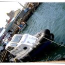 수영목장 이미지