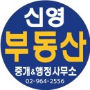 신영 행정사 이미지
