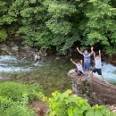 물한계곡 소나무펜션 이미지