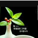 맛있는아구찜 - 서귀포시 천제연로 191 | 맛있는아구찜