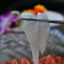 사당역 인근의 해산물 천국, 부산자갈치어시장에서의 풍성한 식사 후기