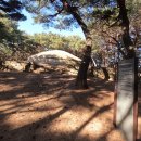 김앤왕 | 신비로운 여왕의 안식처, 진덕여왕릉을 다녀오다