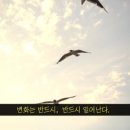 신선야채과일 - 수원시 팔달구 갓매산로 56 | 신선야채과일