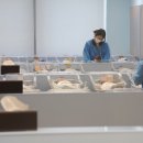 출산율 7년 만에 0.9명 기대… 유소년 10년 새 25% 줄었다 이미지