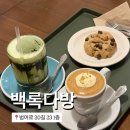 백록 | 범어동 감성 카페 : 백록다방 라떼 잘 말아주는 카페 후기☕️