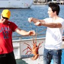 어부농장 이미지