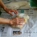 호돌이만두 이미지