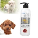 곱슬강아지 이미지