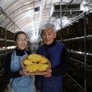 변산농장 이미지