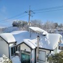 사람과 자연 이미지