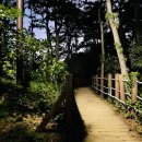 필봉약수터 이미지