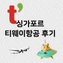 161-2-000118 | 싱가포르 티웨이항공 TW161 탑승 후기 좌석 수화물 컵라면