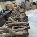 원용농장 이미지