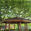 샛터근린공원 이미지