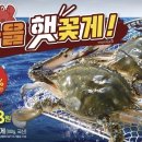 활마트